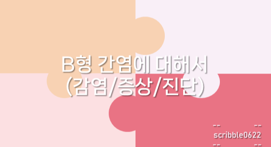  B형 간염에 대해서(감염/증상/진단)