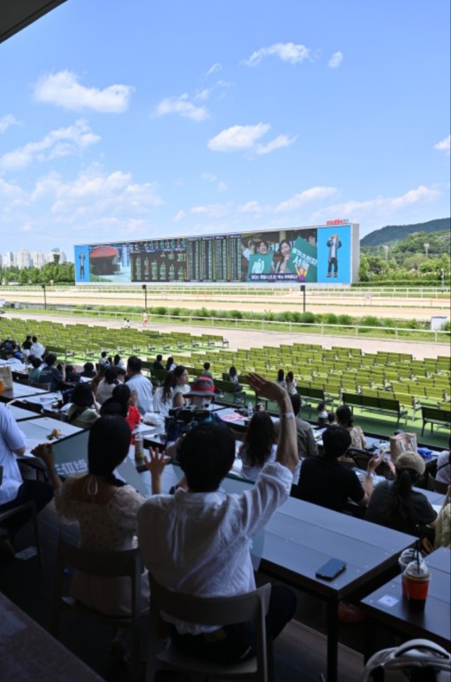 렛츠런 파크 서울 벚꽃 축제