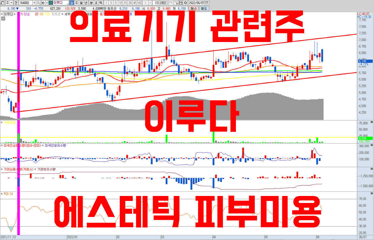  피부미용 의료기기 관련주 이루다 주식 전망 ( 리오프닝 , 환율 수혜 성장주 )