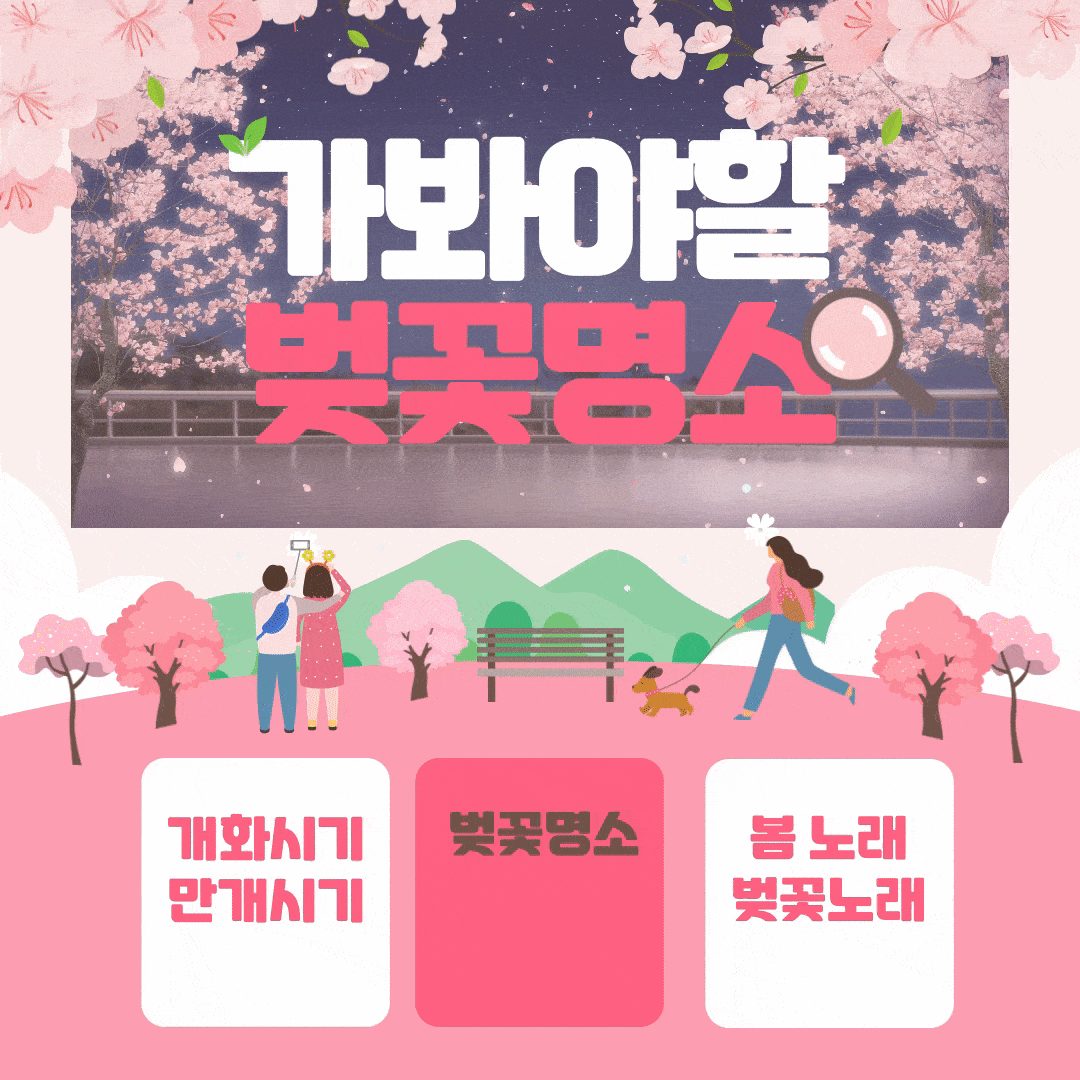  2024 전국 벚꽃 개화 시기 와 전국 벚꽃 명소 축제 기간