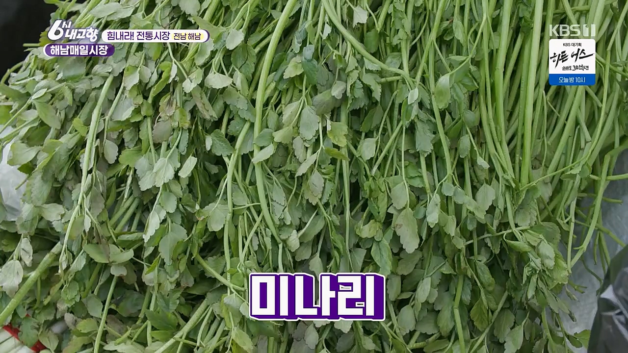 6시 내고향.E7751.230324p.H264-F1RST.mp4_20230324_205550.743.jpg