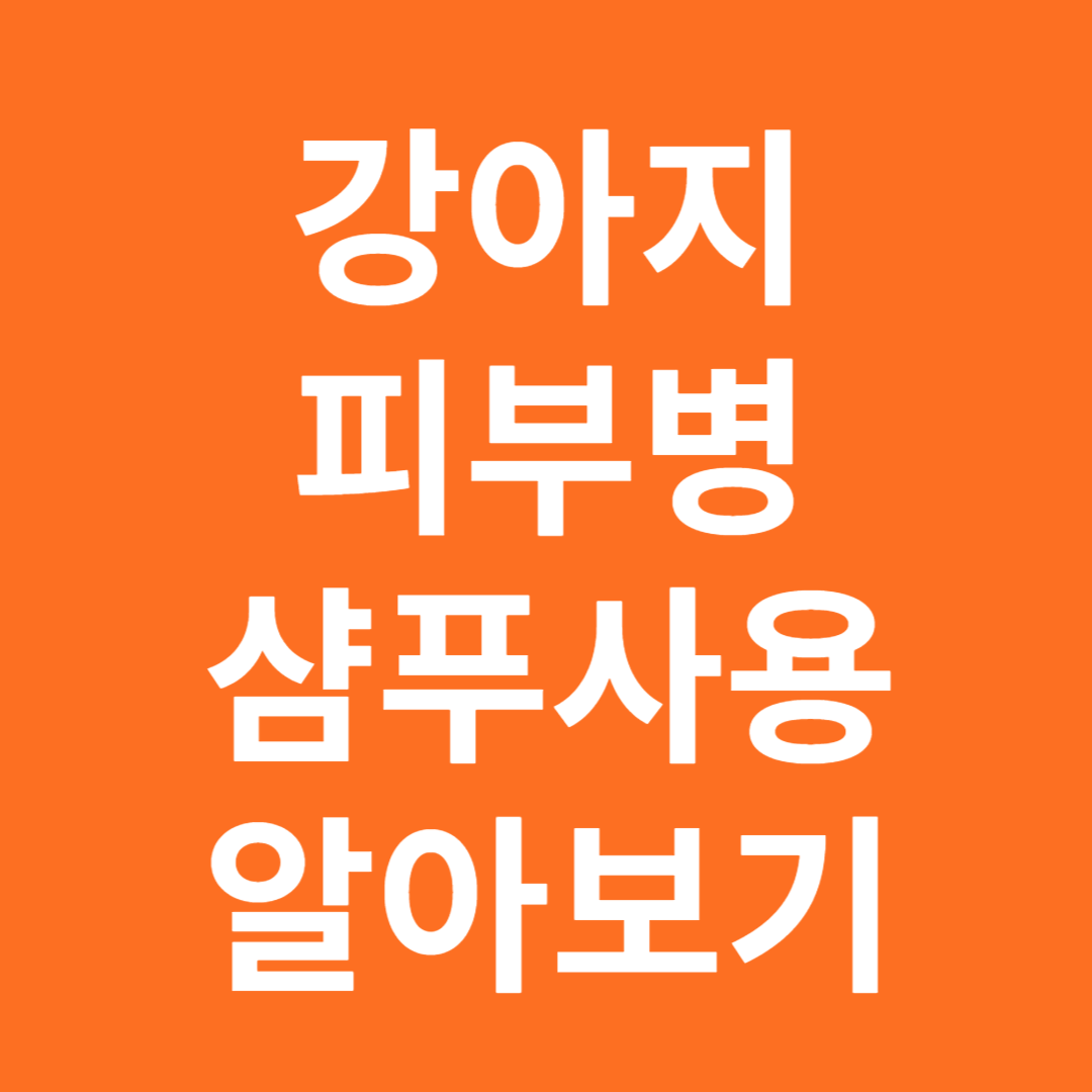 강아지 피부병 샴푸 사용법 알아보기