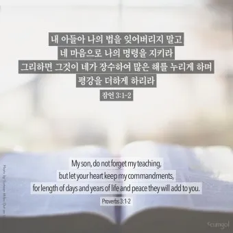 잠언 27장 1절 묵상 - 너는 내일 일을 자랑하지 말라 하루 동안에 무슨 일이 일어날는지 네가 알 수 없음이니라_24