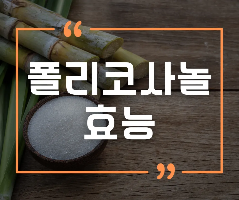 폴리코사놀의 효능