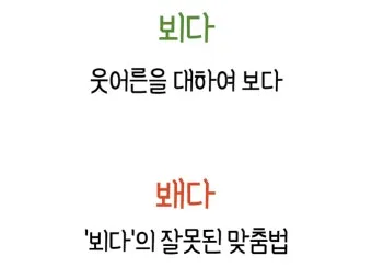 봬요 뵈요 차이 존대 표현법 맞춤법_12