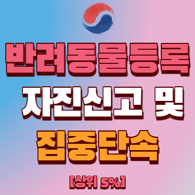  동물등록 자진신고 기간 및 반려견 등록 방법
