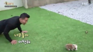  강형욱이 무릎 꿇은 순간ㄷㄷㄷㄷㄷ