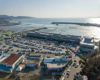 남당항 새조개 축제_24