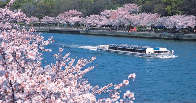 미리 준비하는 2024 일본 벚꽃 여행 꿀팁 할인쿠폰