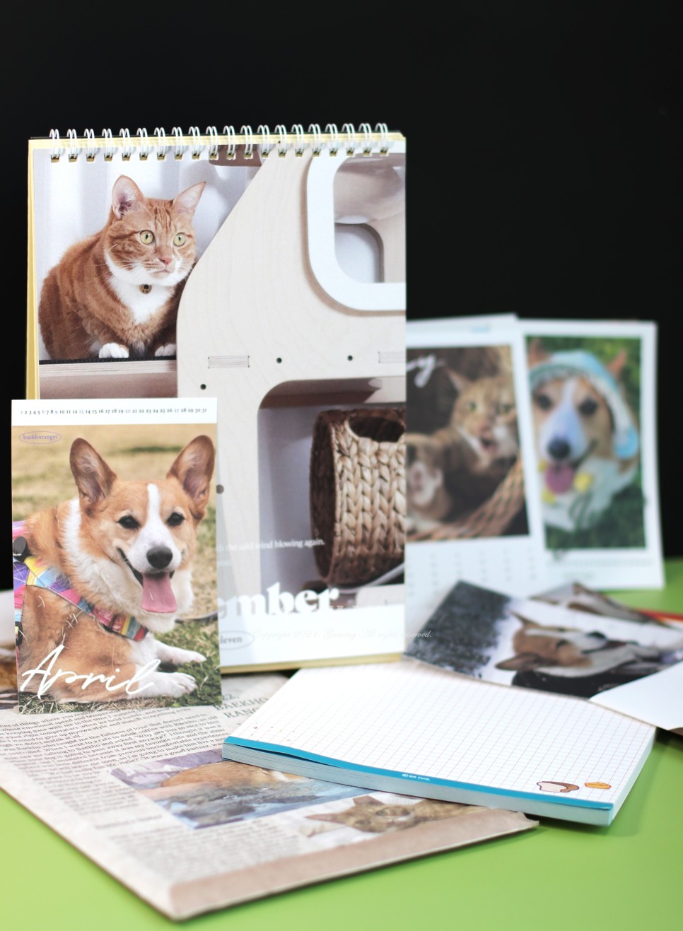 백호랑이 주문, 이웃집의 죽도록 사랑해!!!! 18