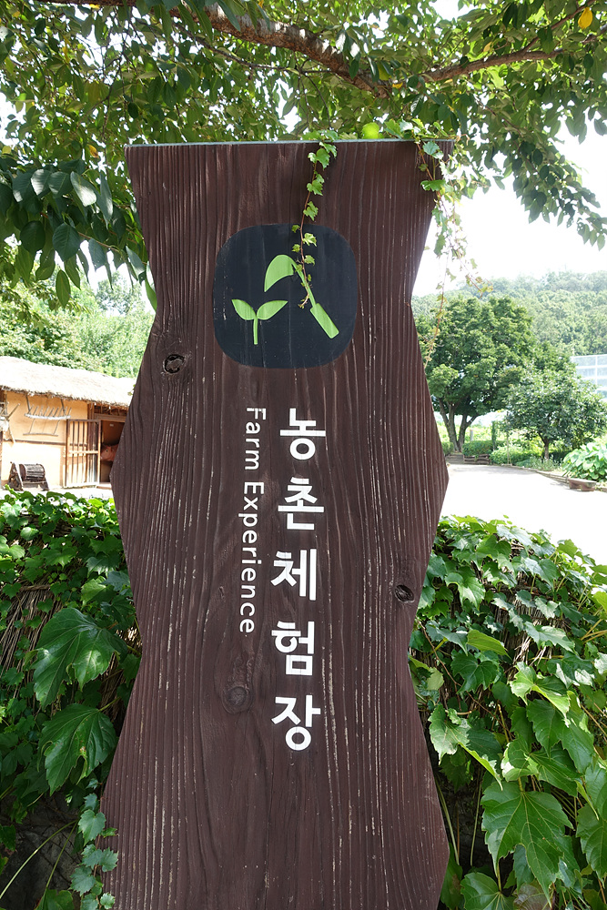 중랑캠핑숲 농촌체험장