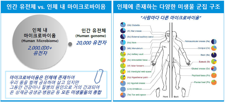 마이크로바이옴의 중요성