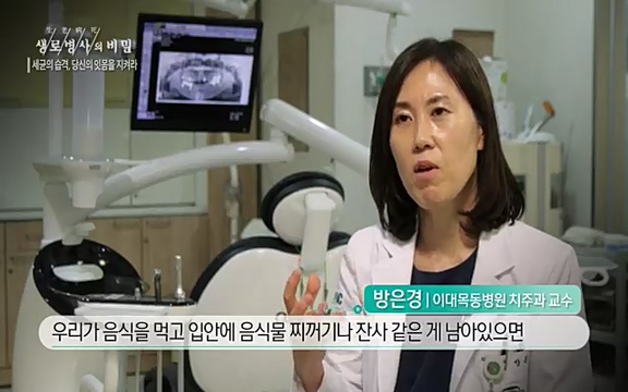[792회] 생로병사의 비밀 - KBS[세균의 습격, 당신의 잇몸을 지켜라!] 감기보다 병원을 더 자주 찾게 만드는 질병이 있다. 바로 치주질환이다. 2020년 외래 다빈도 질병 1위를 차지한 치은염 및 치주질환 환자는 1,637_20220505_140159.271.jpg