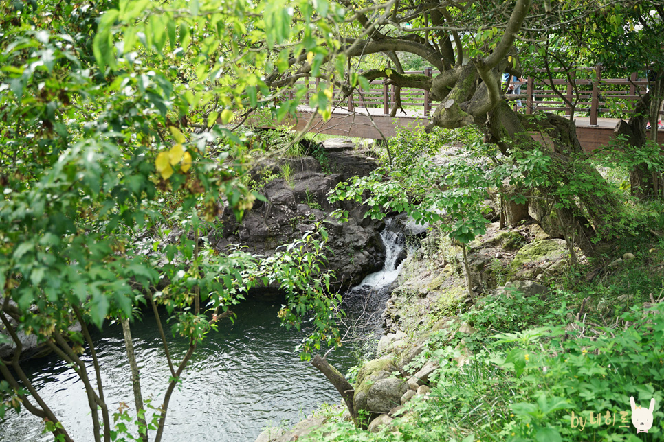 연천재인폭포 주상절리 22