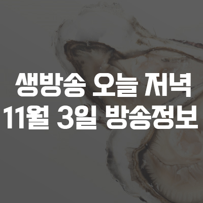  생방송 오늘 저녁 11월 3일 방송 맛집정보