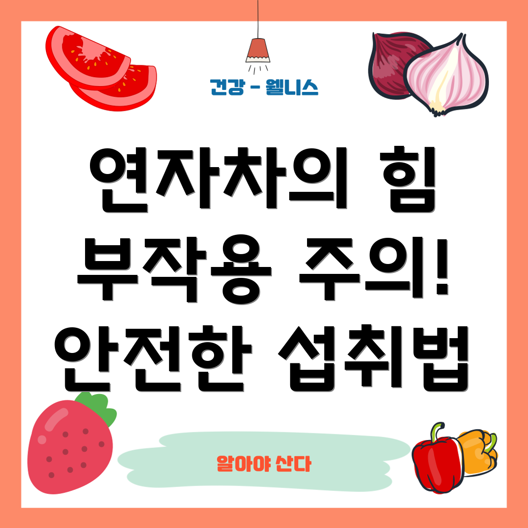 연자차 효능