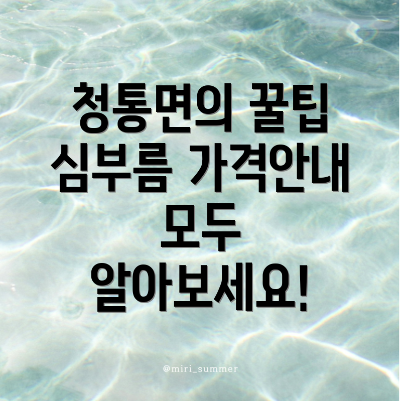 청통면 심부름센터