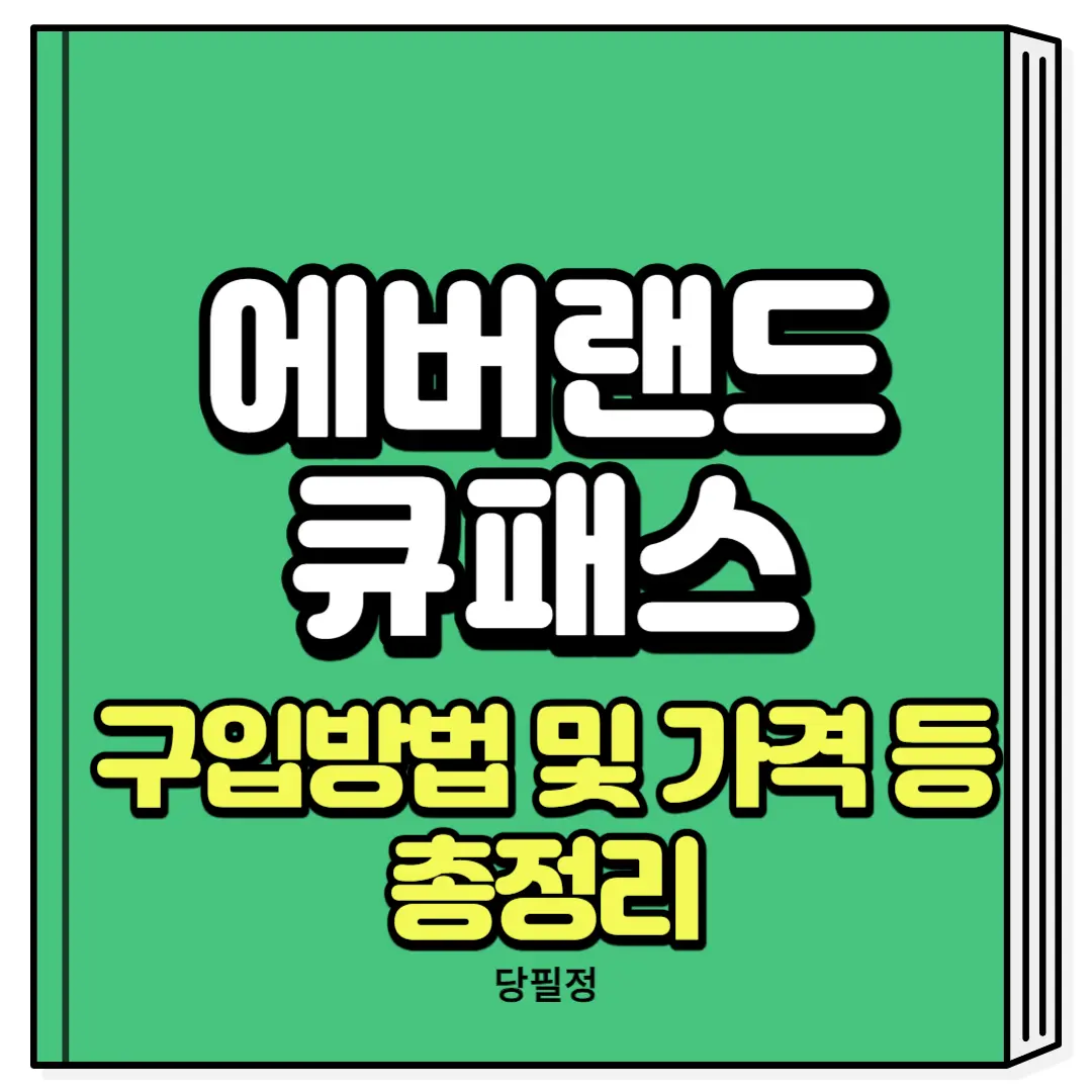 에버랜드 큐패스 구입 가격