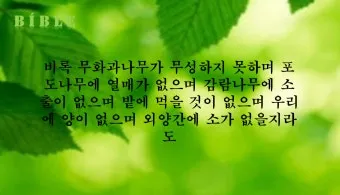 6월 둘째주 주일 대표 기도문 모음_23