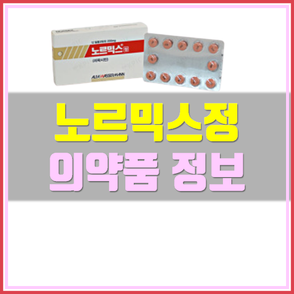  노르믹스정 효능 부작용
