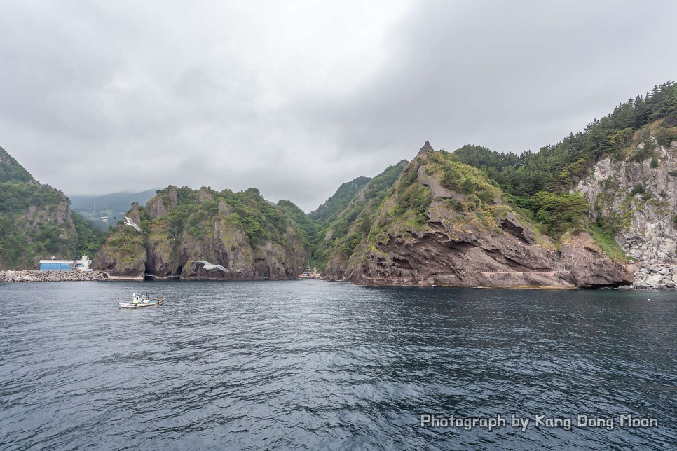 울릉도 여행 가볼만한곳 유람선 배 타기 국내 바다 추천 경북 동해안 2박3일 13