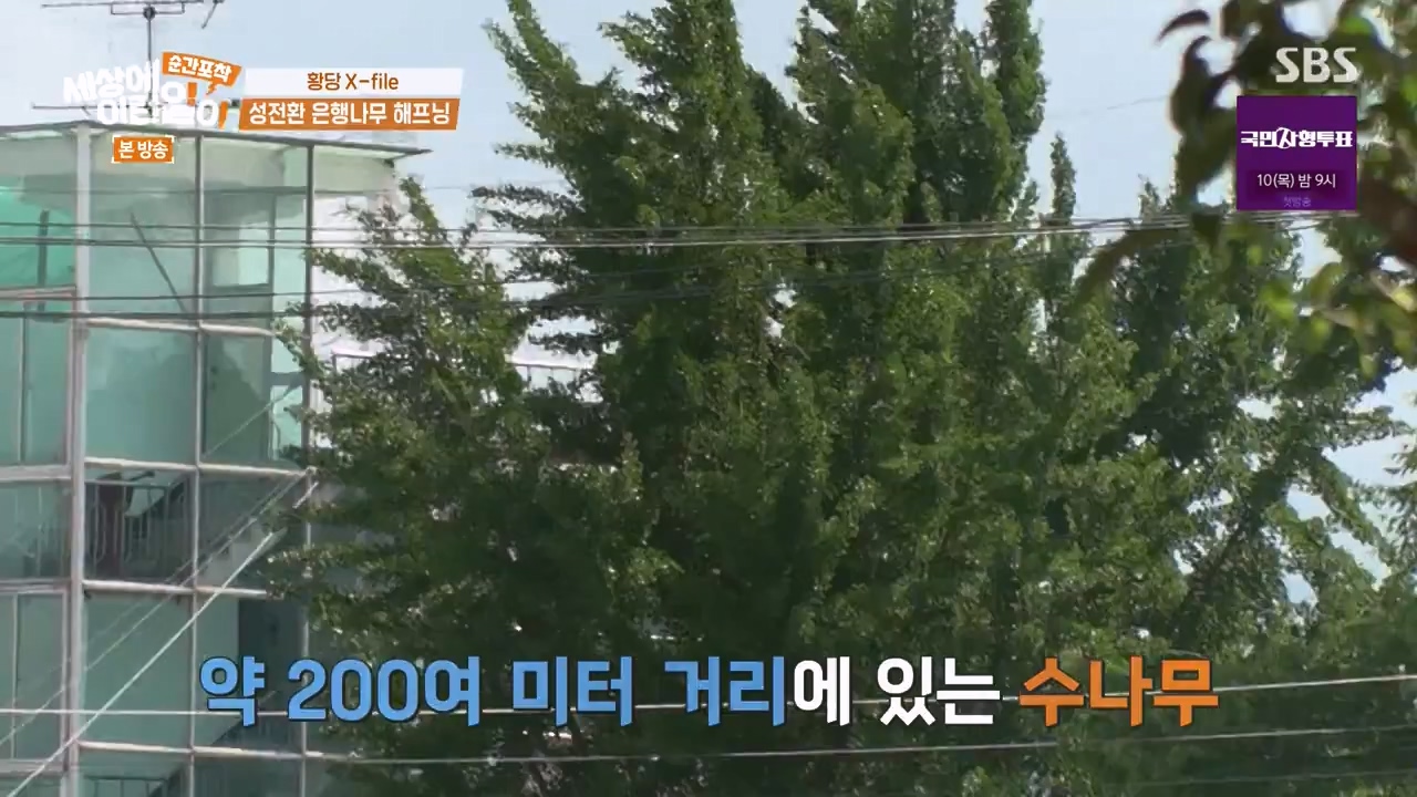 순간포착 세상에 이런일이.E1240.230806p-NEXT.mp4_20230806_161410.072.jpg