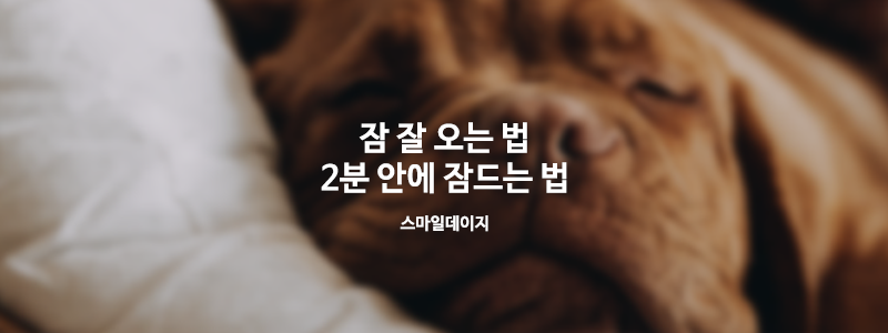  잠 잘 오는 법 잠 안 올 때 2분안에 잠들 수 있다