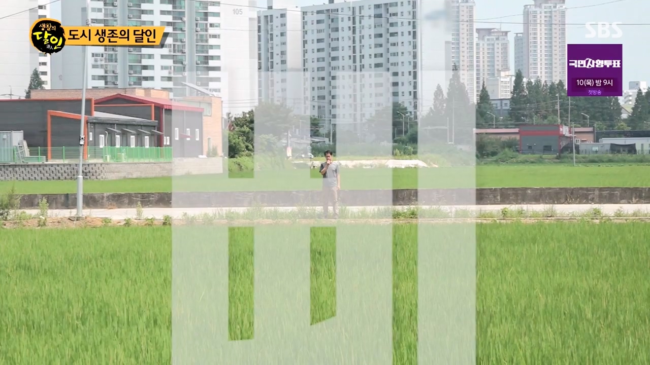생활의 달인.E899.230732p-NEXT.mp4_20230801_213224.381.jpg
