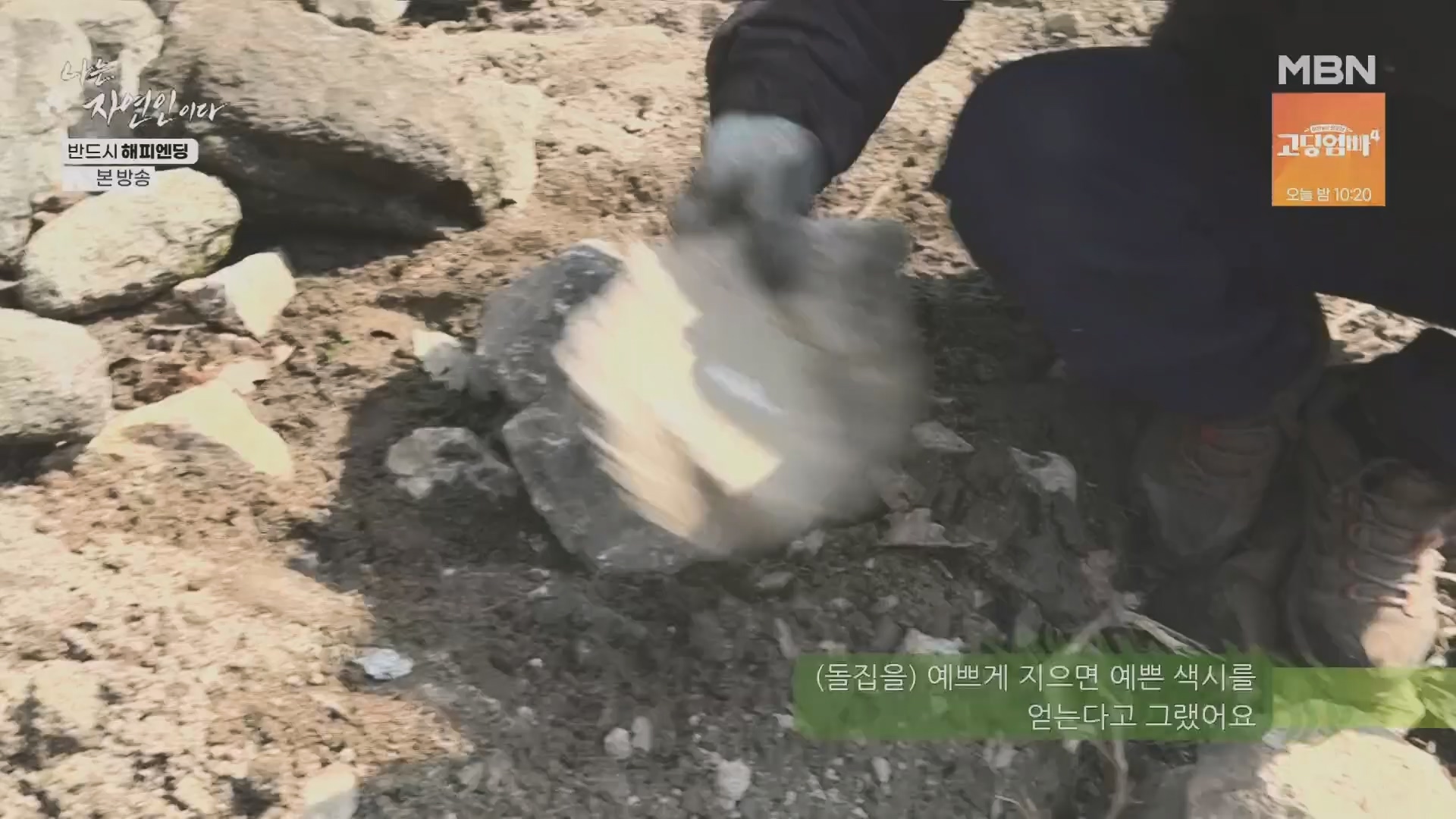 나는 자연인이다.E600.240403p.H264-F1RST.mp4_20240404_191346.764.jpg