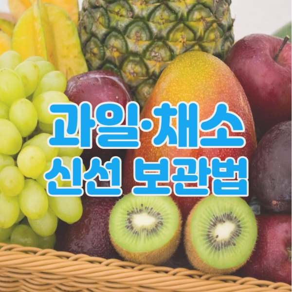 과일-채소-신선-보관법