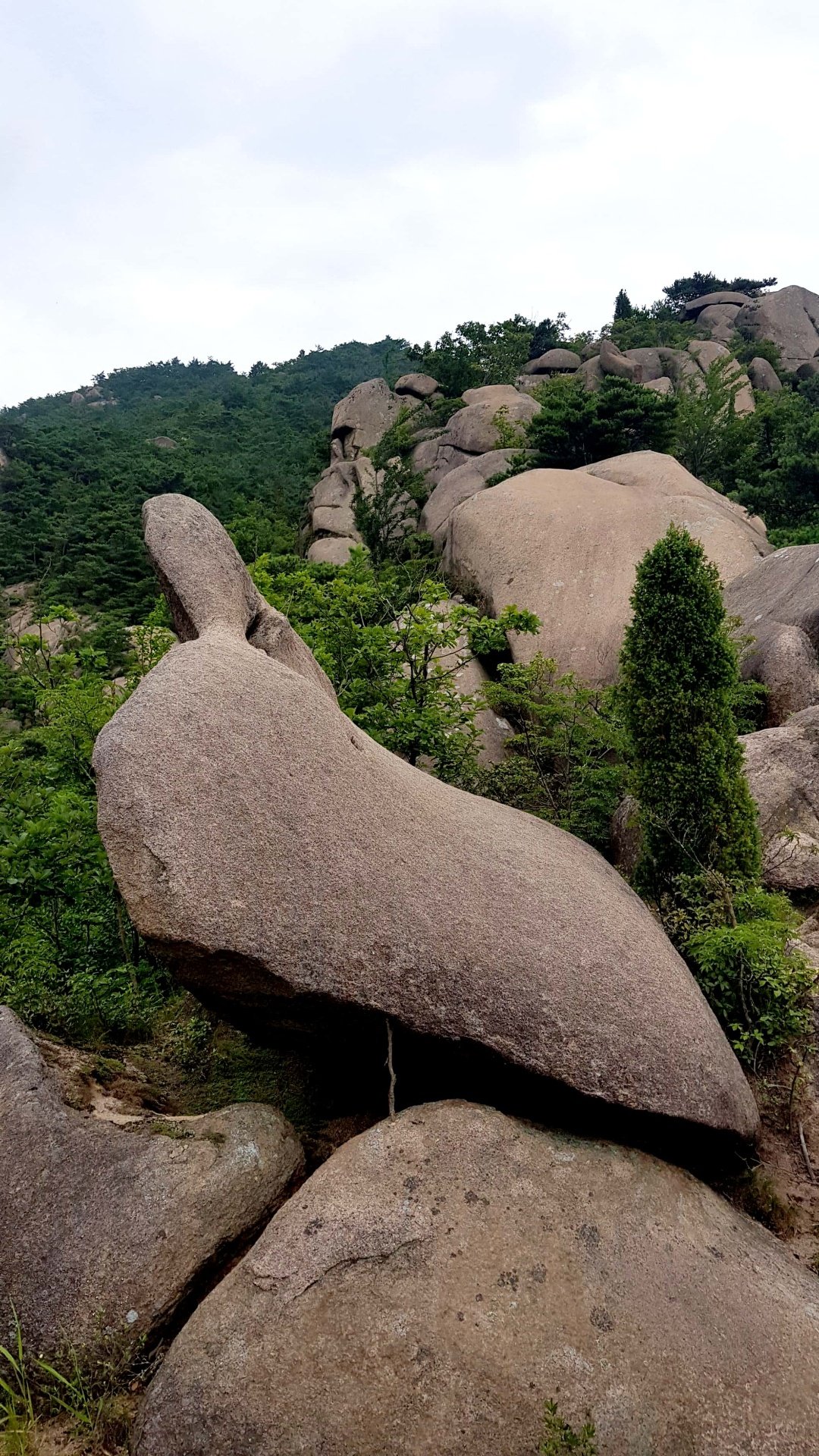 경남 산청 감암산