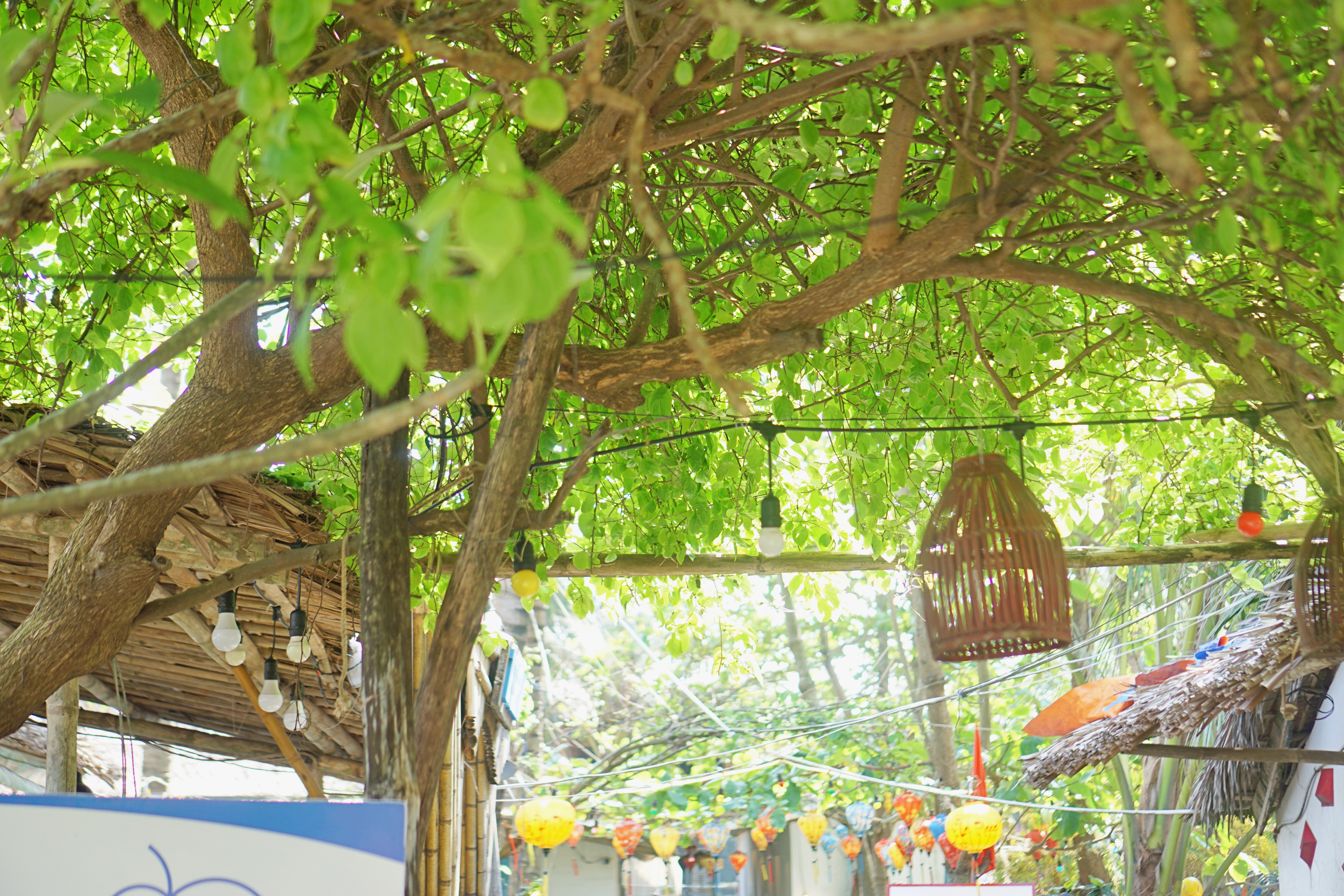 라플라주 La Plage restaurant