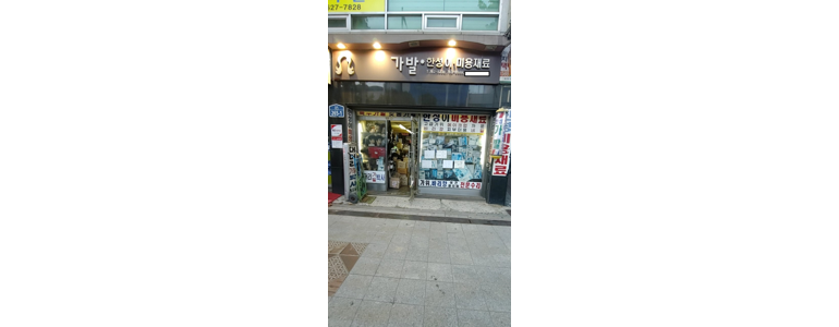 서울 종로구 애견미용