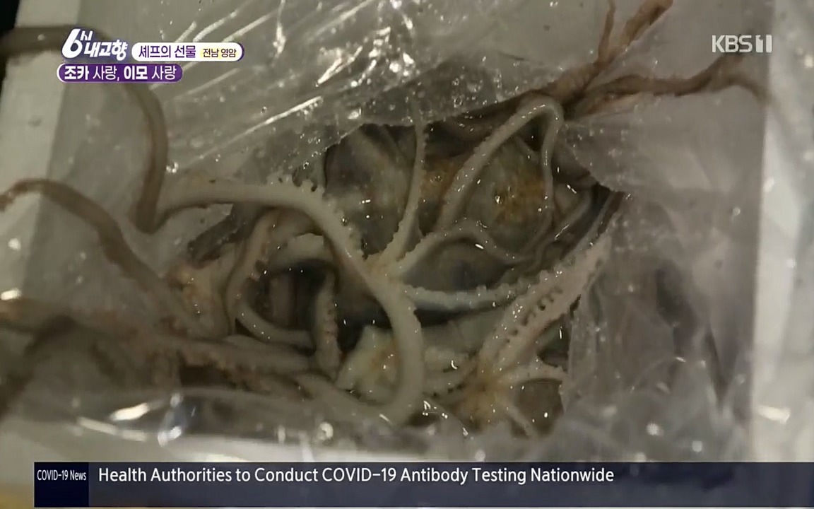 6시 내고향.E7512.220416p.H264-F1RST.mp4_20220502_193739.912.jpg