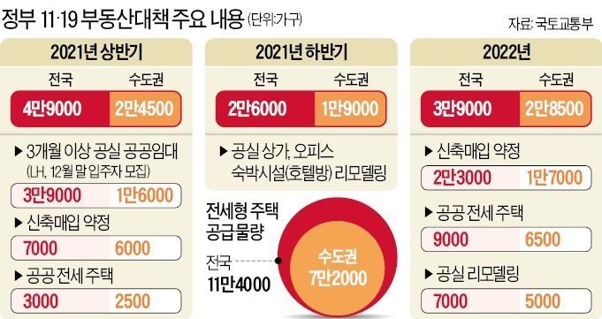  공공임대 '영끌' 대책, 임대차법 수정 없이 과연 실효성 있을까?