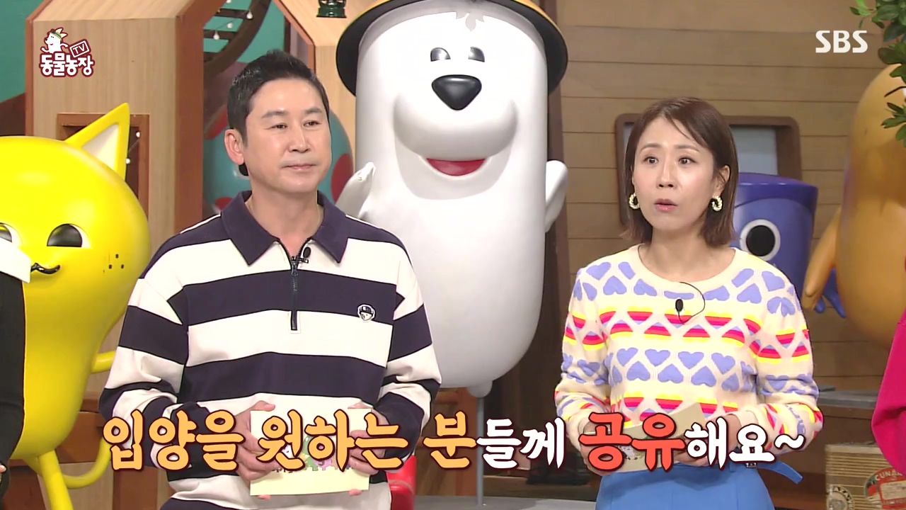 TV 동물농장.E1144.231106p-NEXT.mp4_20231105_175845.708.jpg