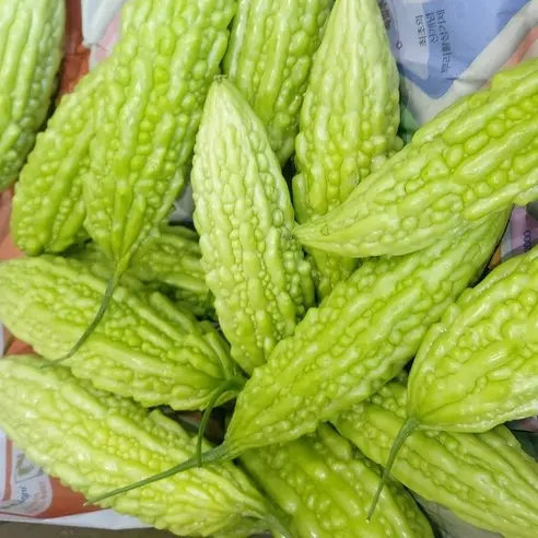 고야