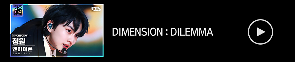 디멘션딜레마