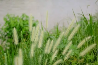 술시는 몇시일까 자시 몇시 한국 전통 시간 알아보기_28
