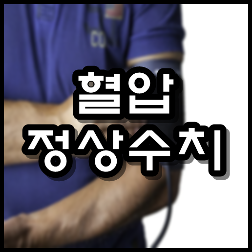  혈압 정상수치
