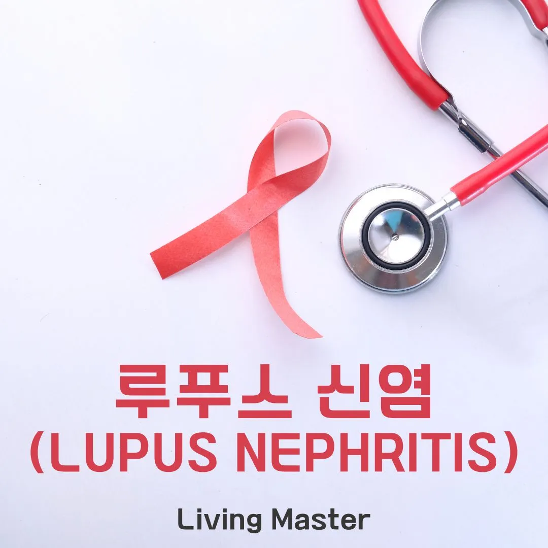 루푸스 신염(Lupus Nephritis)이란 무엇인가?