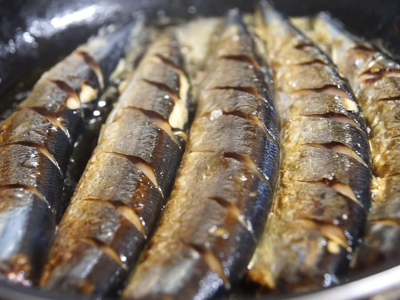 꽁치 효능 10가지 1