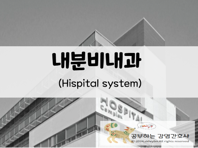 '내분비내과’에 대한 이해: 병원 과별 진료과목 시리즈 9탄