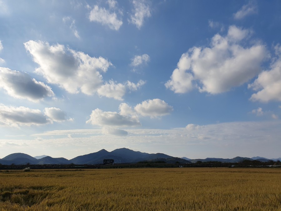 창원-주남저수지