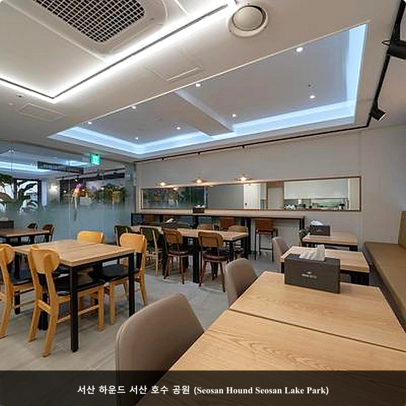서산 하운드 서산 호수 공원 (Seosan Hound Seosan Lake Park)_3