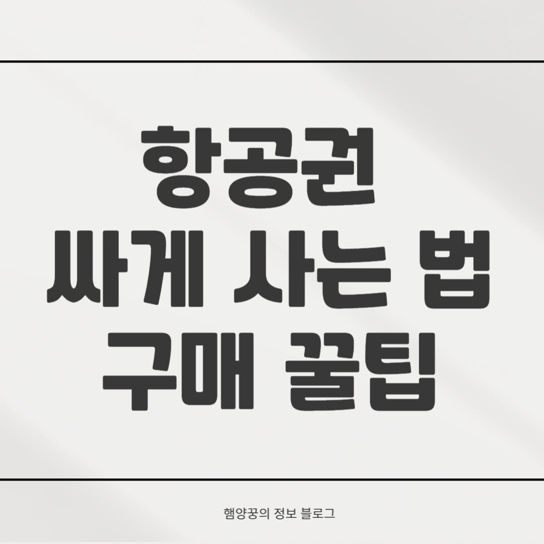 항공권 싸게 사는 법: 최저가 꿀팁 & 할인 항공권 구매 노하우