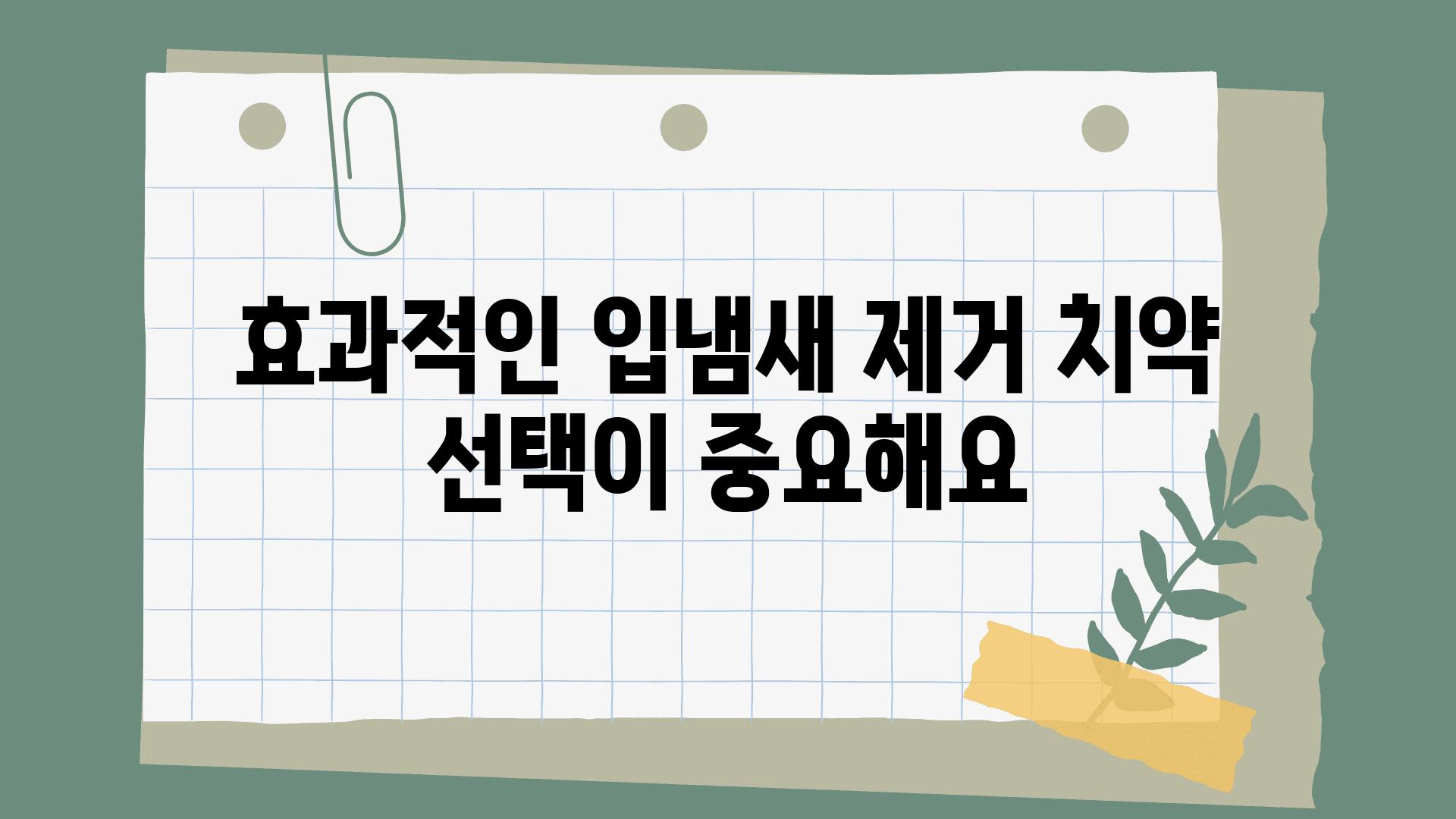 효과적인 입냄새 제거 치약 선택이 중요해요