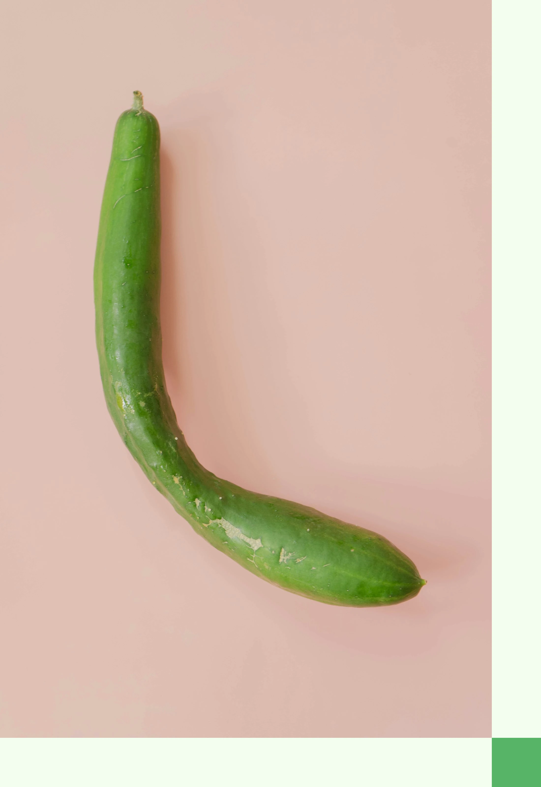 이미지_3