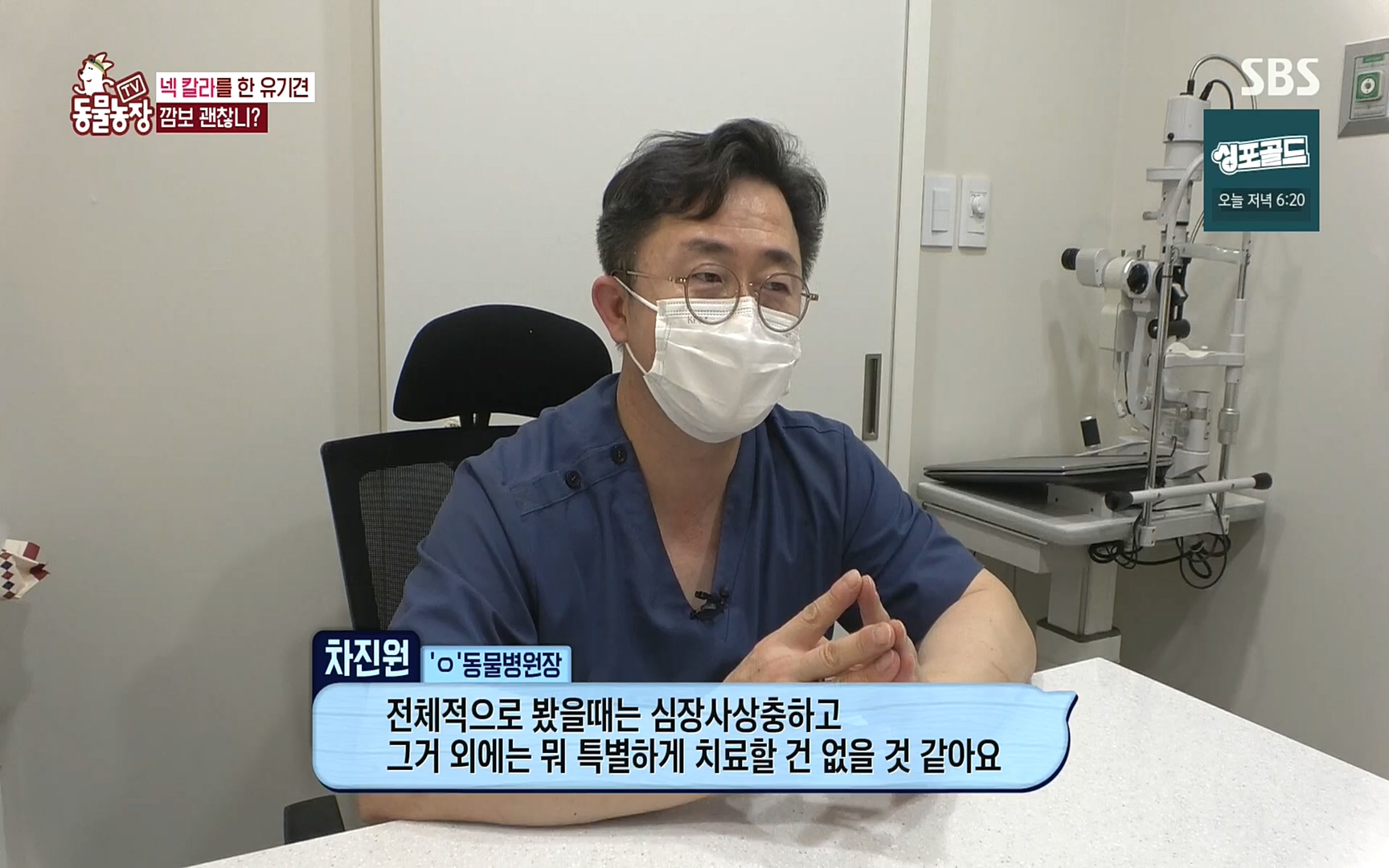 TV 동물농장.E1089.221002p.H264-F1RST.mp4_20221002_181936.644.jpg
