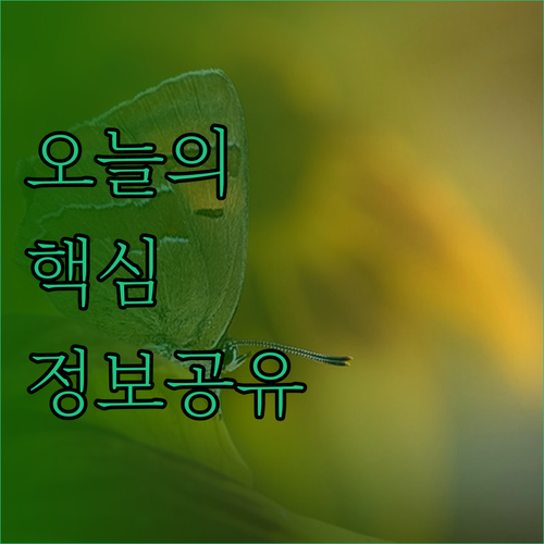 비간 여행, 행복한 숙소 선택 가이드